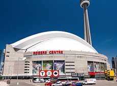 Hadrian | Powder Coated - Rogers Centre | Relcross